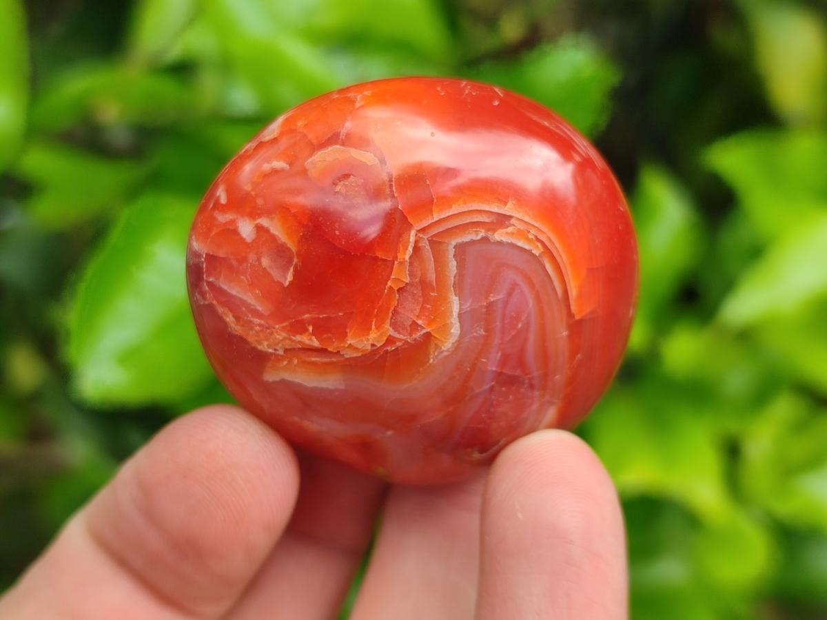 Polished Carnelian Agate Gemstone Galets x 23 From Madagascar