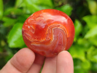 Polished Carnelian Agate Gemstone Galets x 23 From Madagascar
