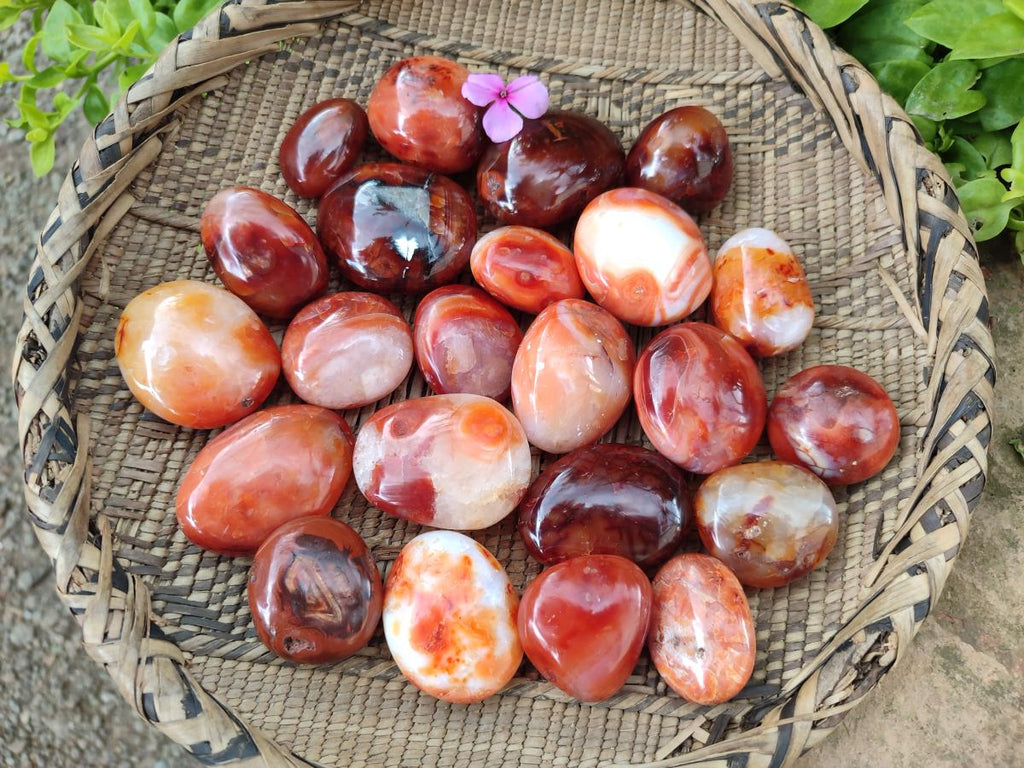 Polished Carnelian Agate Gemstone Galets x 23 From Madagascar