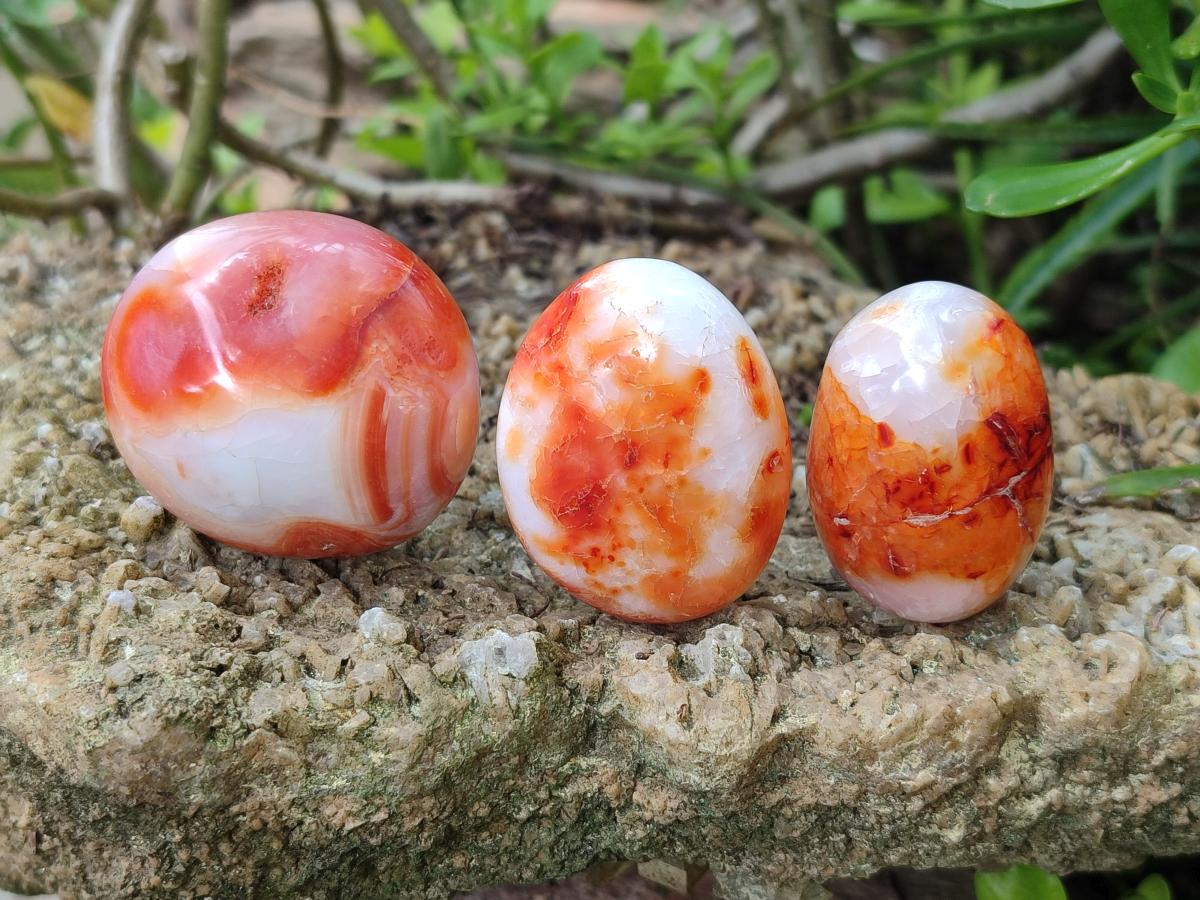 Polished Carnelian Agate Gemstone Galets x 23 From Madagascar