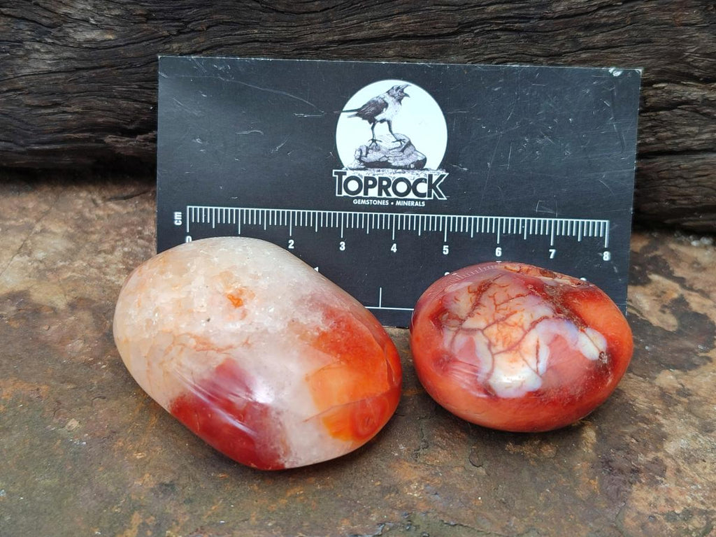 Polished Carnelian Agate Gemstone Galets x 23 From Madagascar