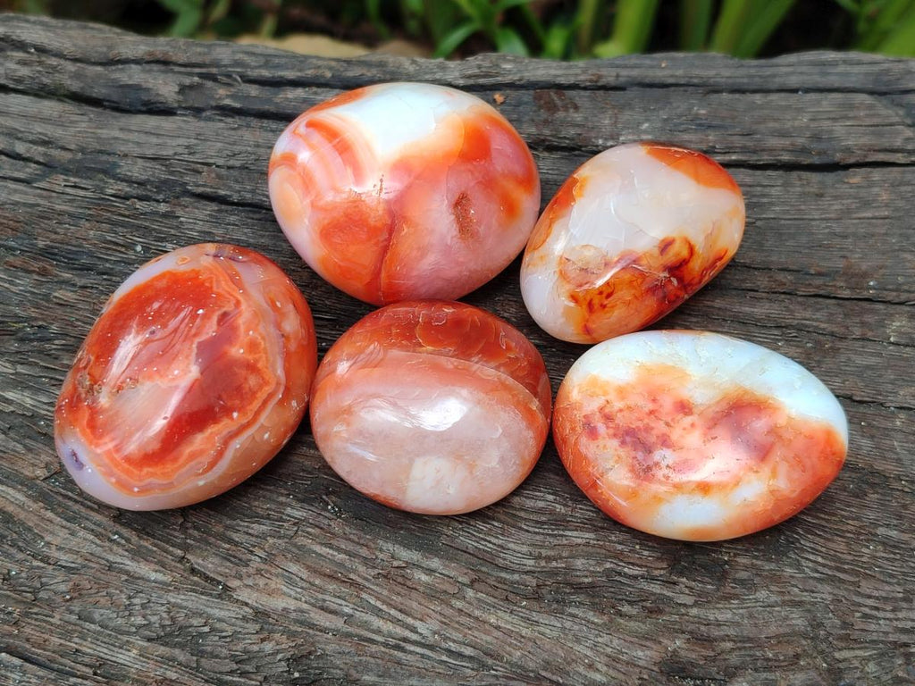 Polished Carnelian Agate Gemstone Galets x 23 From Madagascar