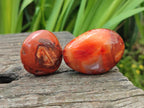 Polished Carnelian Agate Gemstone Galets x 23 From Madagascar