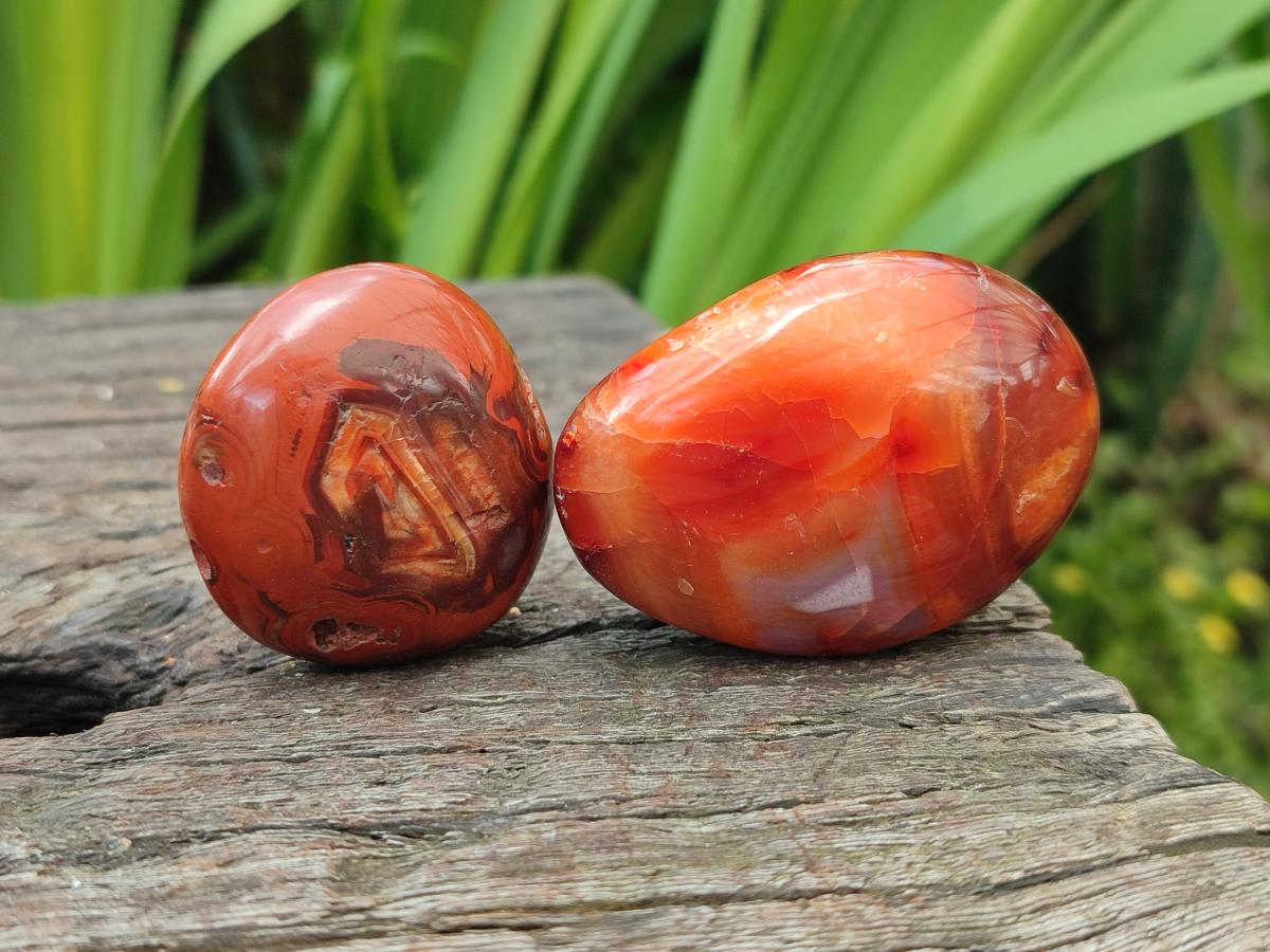 Polished Carnelian Agate Gemstone Galets x 23 From Madagascar
