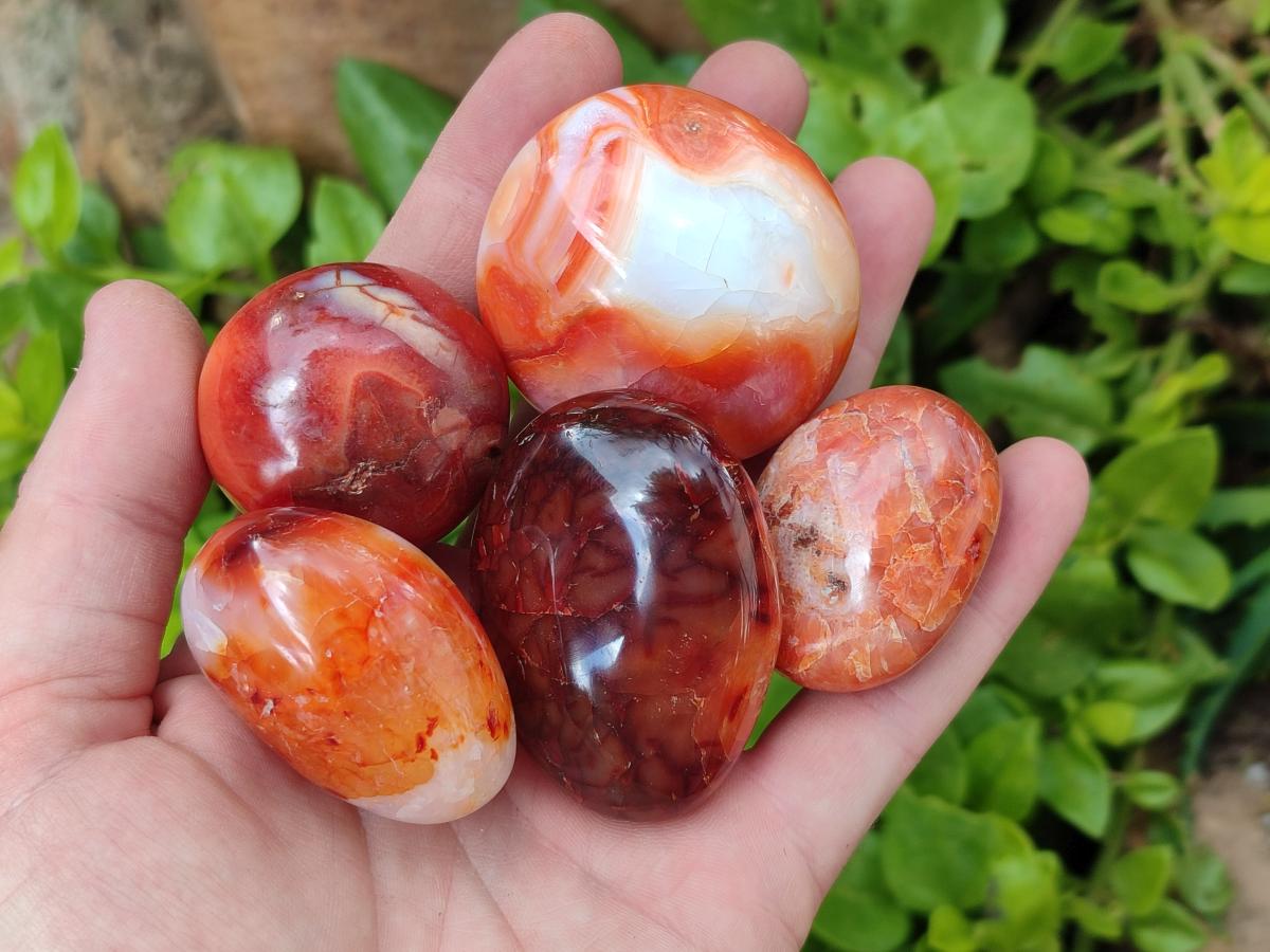 Polished Carnelian Agate Gemstone Galets x 23 From Madagascar