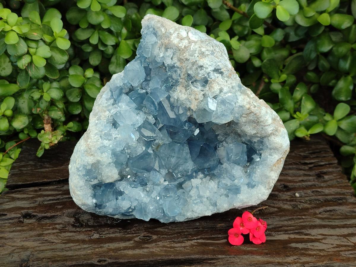 Natural Blue Celestite Geode Specimen x 1 From Sakoany, Madagascar