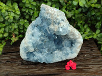 Natural Blue Celestite Geode Specimen x 1 From Sakoany, Madagascar