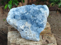 Natural Blue Celestite Geode Specimen x 1 From Sakoany, Madagascar
