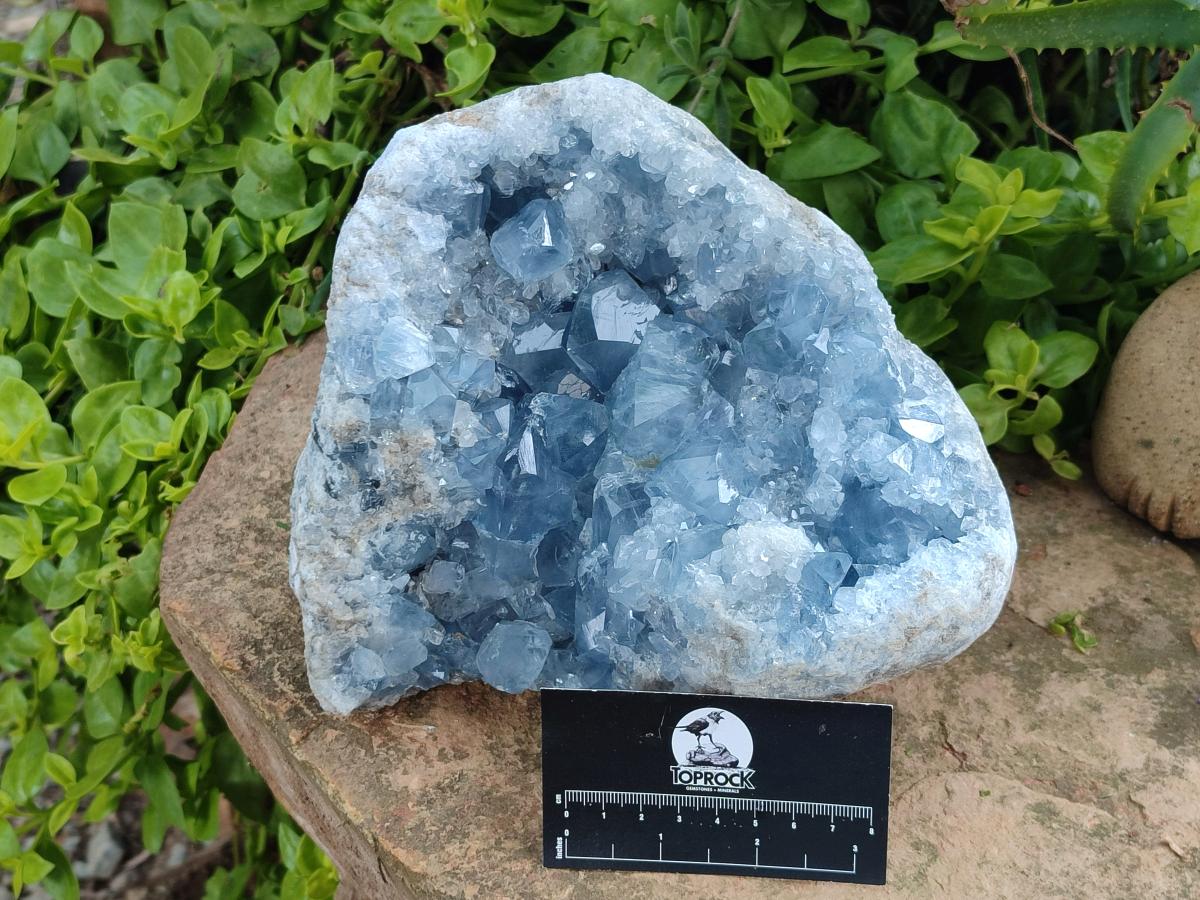 Natural Blue Celestite Geode Specimen x 1 From Sakoany, Madagascar