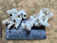 Natural Drusy Quartz Coated Calcite Pseudomorph Specimens x 12 From Albert's Mountain, Lesotho