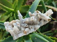 Natural Drusy Quartz Coated Calcite Pseudomorph Specimens x 12 From Albert's Mountain, Lesotho