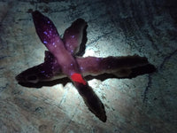 Natural Drusy Quartz Coated Calcite Pseudomorph Specimens x 12 From Albert's Mountain, Lesotho