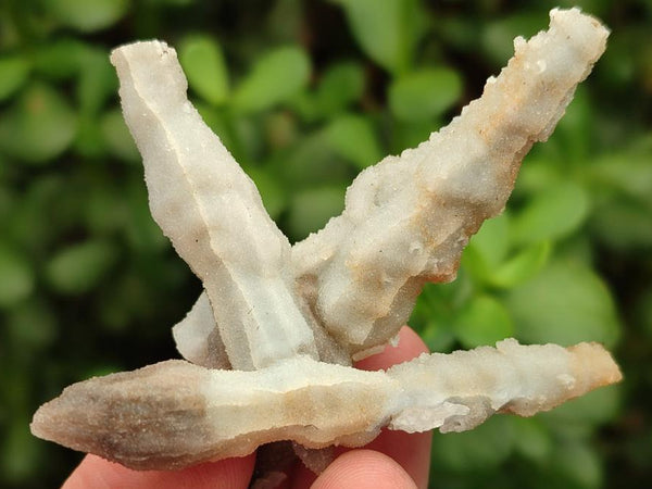 Natural Drusy Quartz Coated Calcite Pseudomorph Specimens x 12 From Albert's Mountain, Lesotho