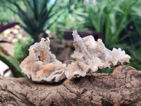 Natural Drusy Quartz Coated Calcite Pseudomorph Specimens x 12 From Albert's Mountain, Lesotho