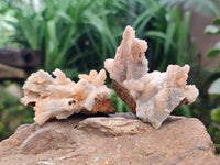 Natural Drusy Quartz Coated Calcite Pseudomorph Specimens x 12 From Albert's Mountain, Lesotho