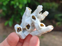 Natural Drusy Quartz Coated Calcite Pseudomorph Specimens x 12 From Albert's Mountain, Lesotho