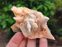 Natural Drusy Quartz Coated Calcite Pseudomorph Specimens x 12 From Albert's Mountain, Lesotho