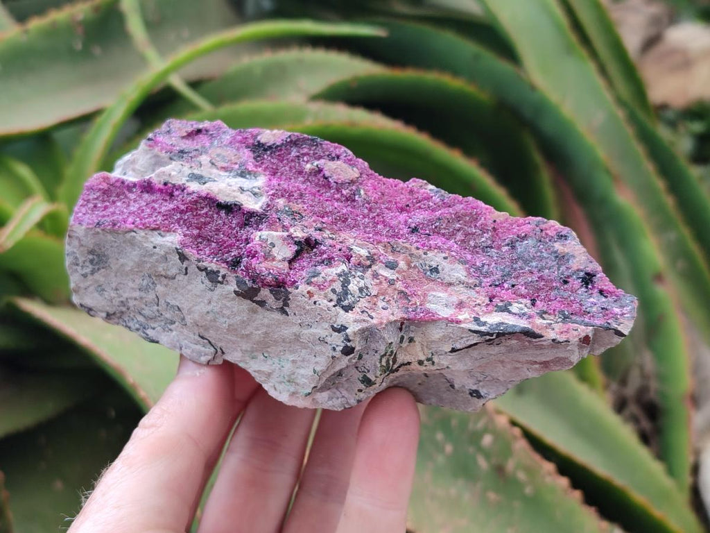 Natural Salrose Cobaltion Dolomite Specimens x 3 From Kakanda, Congo