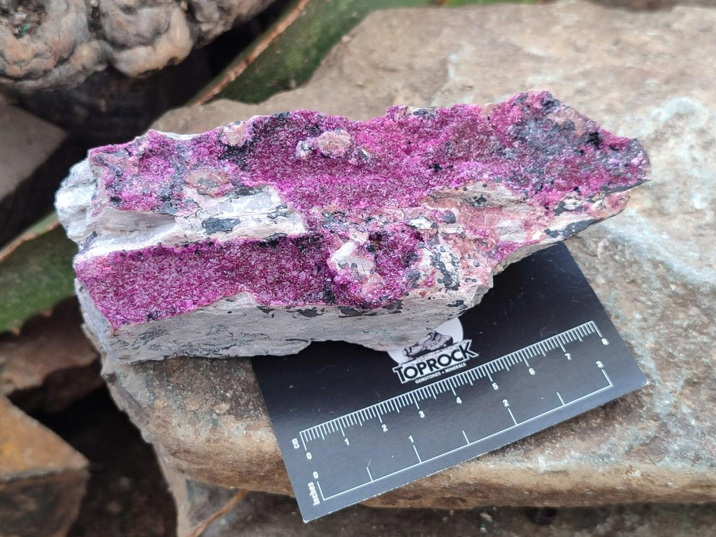 Natural Salrose Cobaltion Dolomite Specimens x 3 From Kakanda, Congo