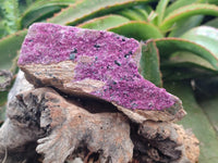 Natural Salrose Cobaltion Dolomite Specimens x 3 From Kakanda, Congo