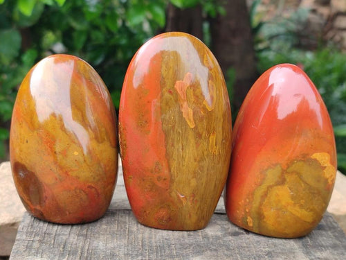 Polished Red Flame Jasper Standing Free Forms x 6 From Madagascar - Toprock Gemstones and Minerals 