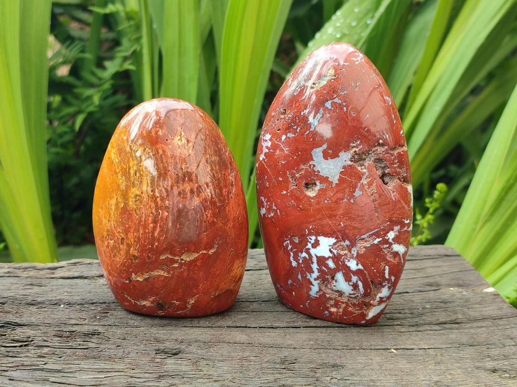 Polished Red Flame Jasper Standing Free Forms x 6 From Madagascar