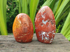 Polished Red Flame Jasper Standing Free Forms x 6 From Madagascar