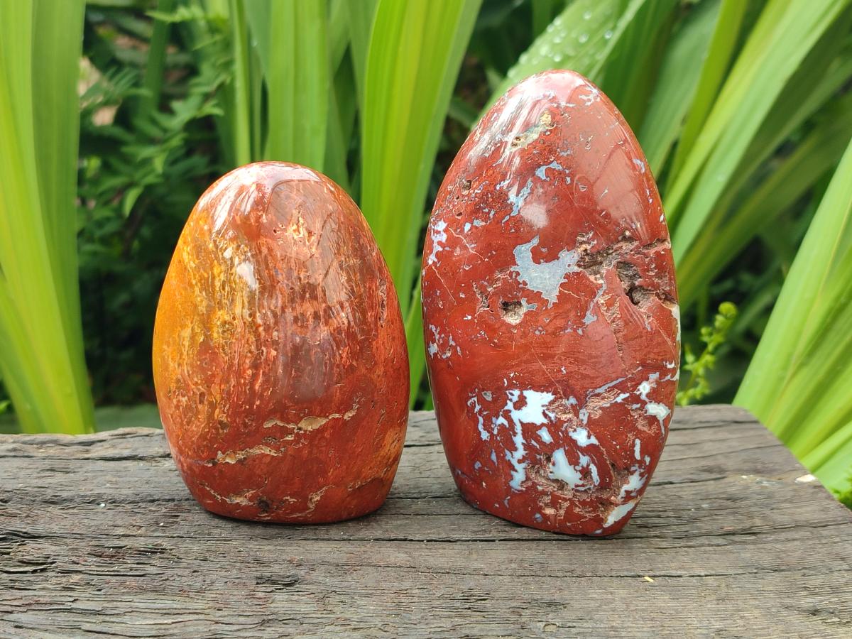 Polished Red Flame Jasper Standing Free Forms x 6 From Madagascar