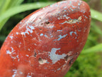 Polished Red Flame Jasper Standing Free Forms x 6 From Madagascar