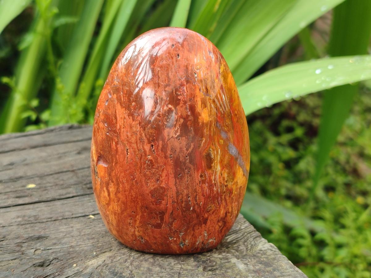 Polished Red Flame Jasper Standing Free Forms x 6 From Madagascar