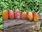 Polished Red Flame Jasper Standing Free Forms x 6 From Madagascar