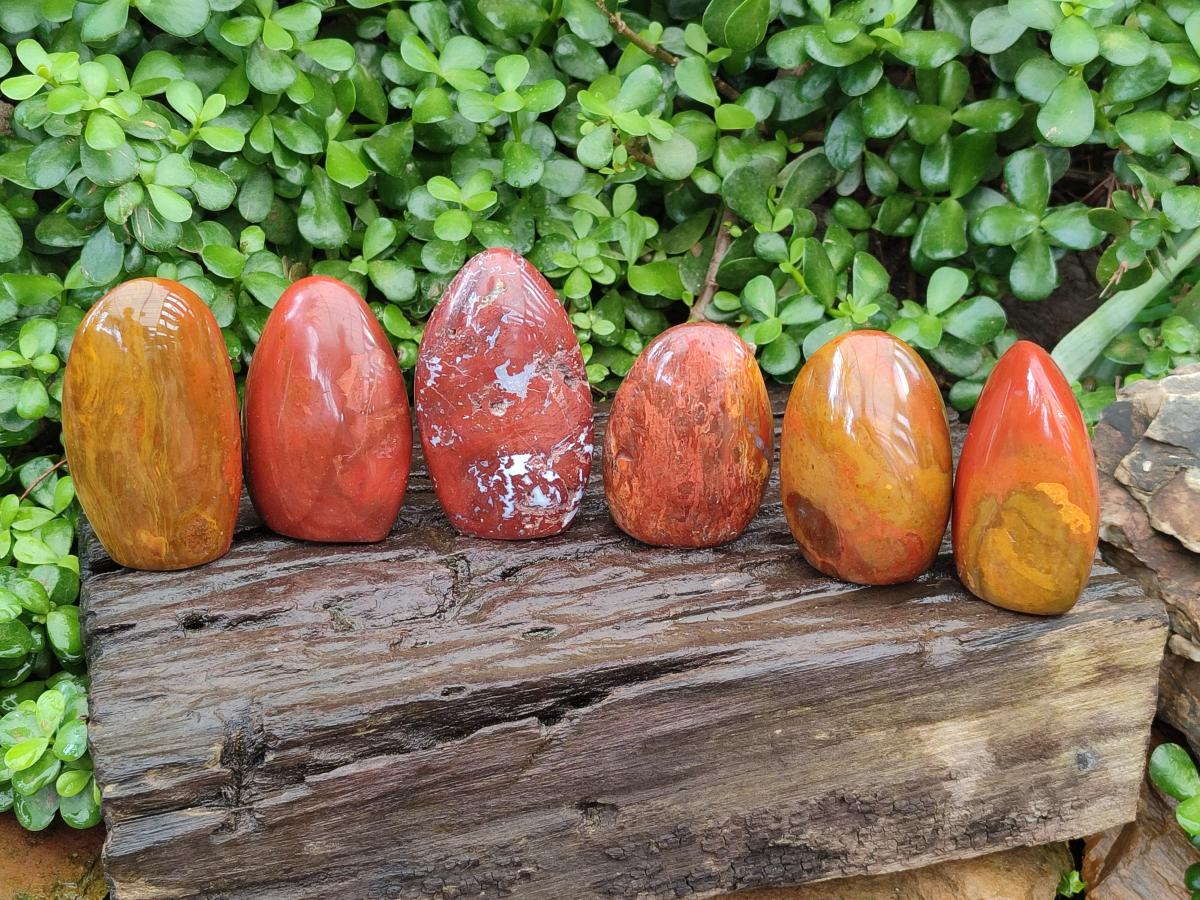 Polished Red Flame Jasper Standing Free Forms x 6 From Madagascar