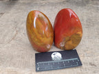 Polished Red Flame Jasper Standing Free Forms x 6 From Madagascar