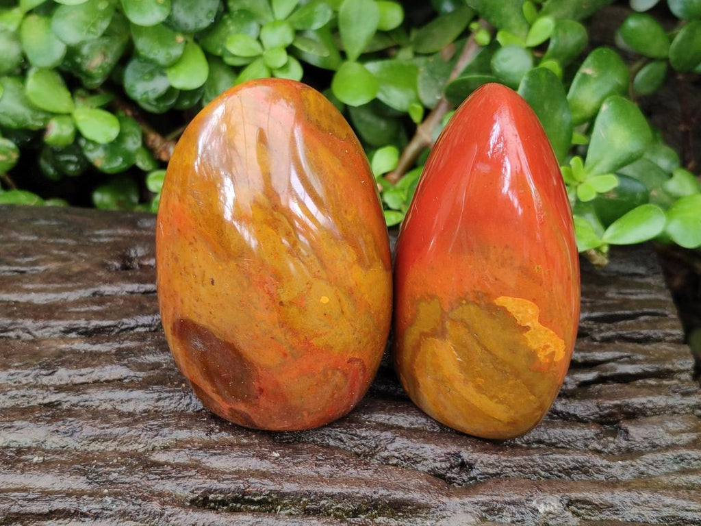 Polished Red Flame Jasper Standing Free Forms x 6 From Madagascar