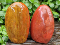 Polished Red Flame Jasper Standing Free Forms x 6 From Madagascar