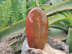 Polished Red Flame Jasper Standing Free Forms x 6 From Madagascar