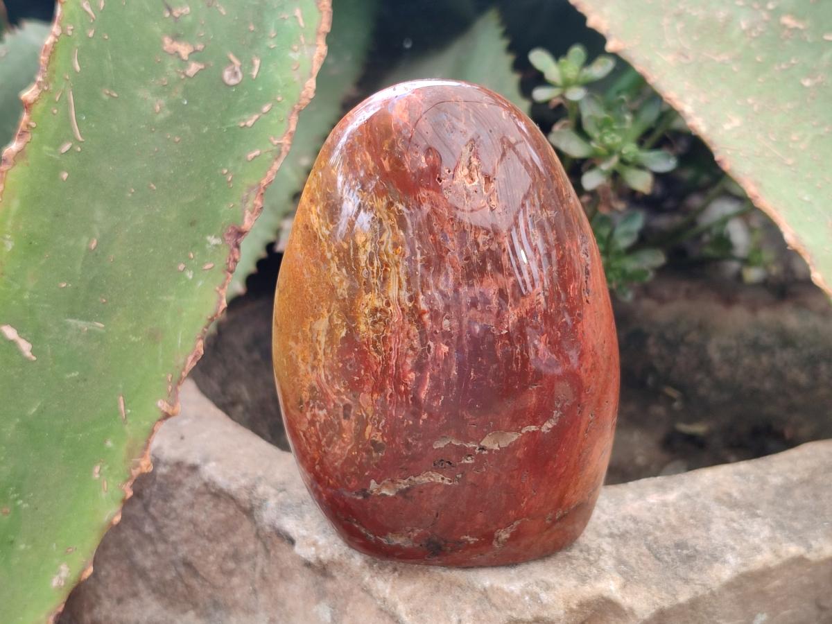 Polished Red Flame Jasper Standing Free Forms x 6 From Madagascar