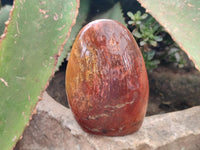 Polished Red Flame Jasper Standing Free Forms x 6 From Madagascar