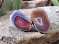 Polished On One Side Red Shashe River Agate Nodules x 70 From Shashe River, Zimbabwe