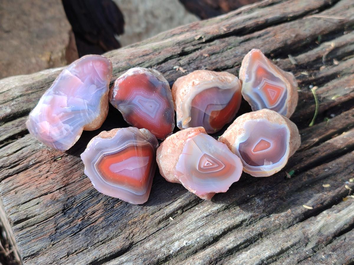 Polished On One Side Red Shashe River Agate Nodules x 70 From Shashe River, Zimbabwe