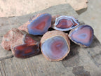 Polished On One Side Red Shashe River Agate Nodules x 70 From Shashe River, Zimbabwe