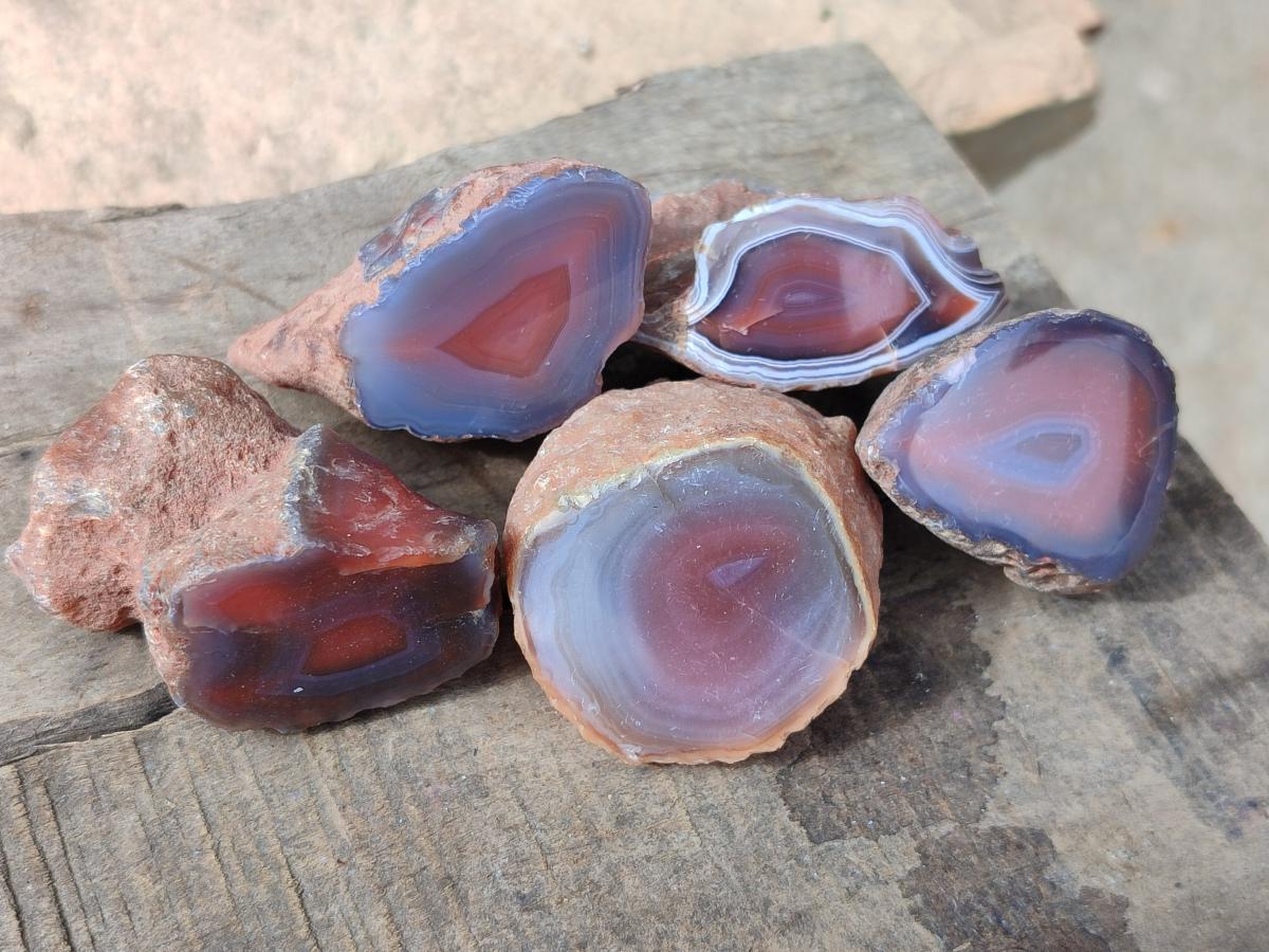 Polished On One Side Red Shashe River Agate Nodules x 70 From Shashe River, Zimbabwe