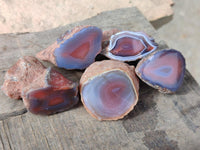 Polished On One Side Red Shashe River Agate Nodules x 70 From Shashe River, Zimbabwe