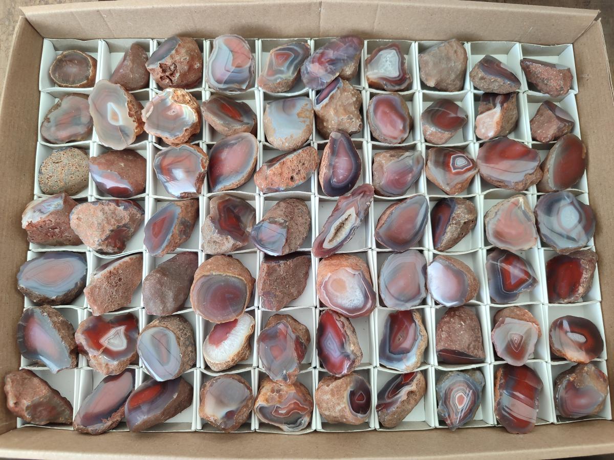 Polished On One Side Red Shashe River Agate Nodules x 70 From Shashe River, Zimbabwe