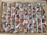 Polished On One Side Red Shashe River Agate Nodules x 70 From Shashe River, Zimbabwe