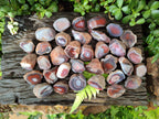 Polished On One Side Red Shashe River Agate Nodules x 70 From Shashe River, Zimbabwe