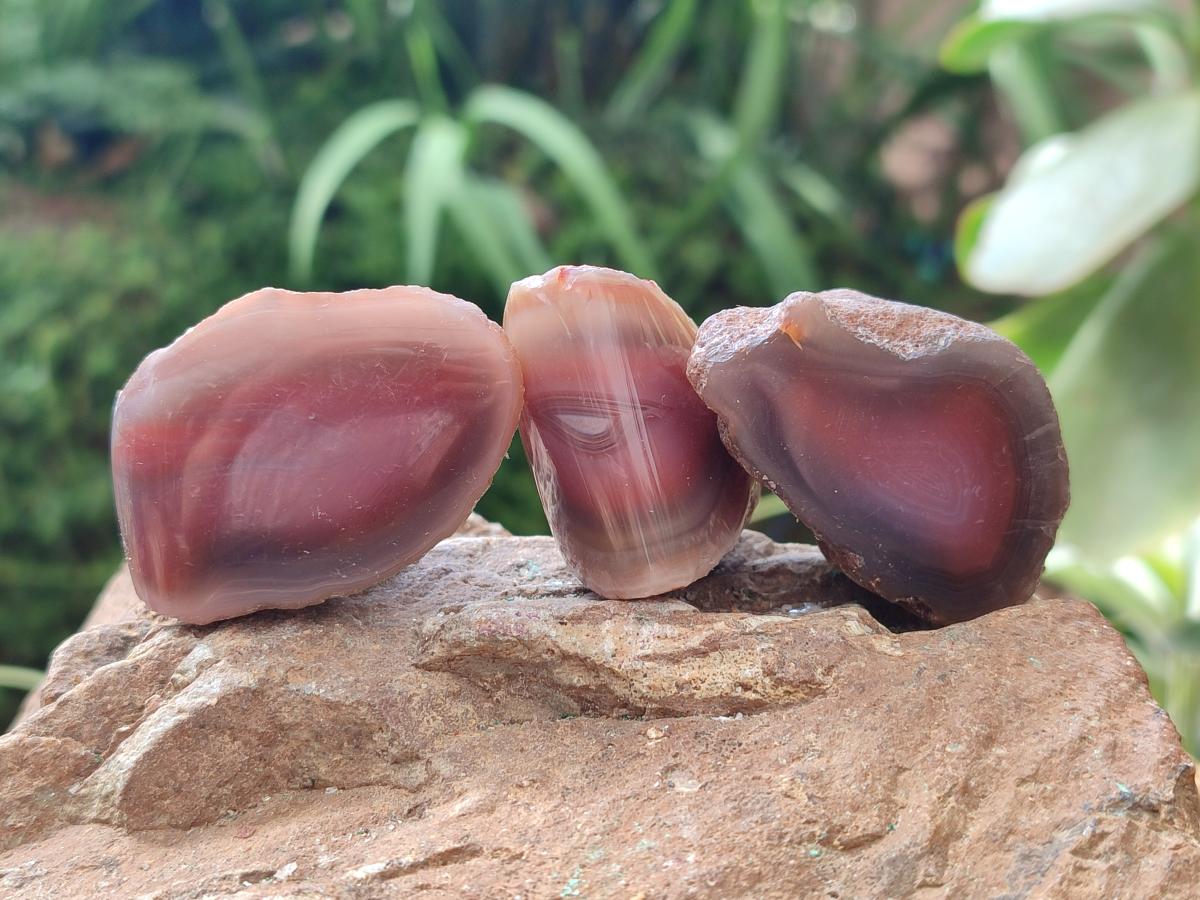 Polished On One Side Red Shashe River Agate Nodules x 70 From Shashe River, Zimbabwe