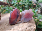 Polished On One Side Red Shashe River Agate Nodules x 70 From Shashe River, Zimbabwe