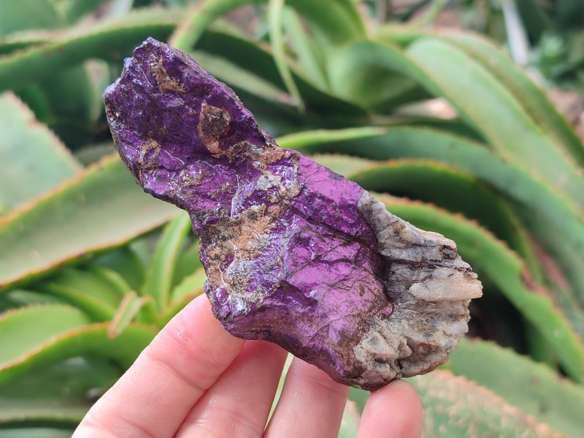 Natural Metallic Purpurite Specimens x 6 From Erongo, Namibia