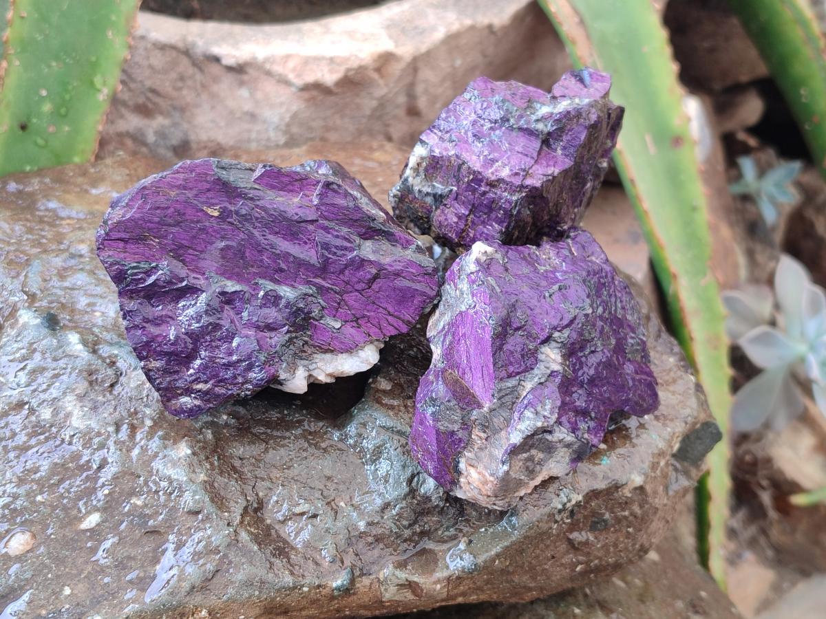 Natural Metallic Purpurite Specimens x 6 From Erongo, Namibia